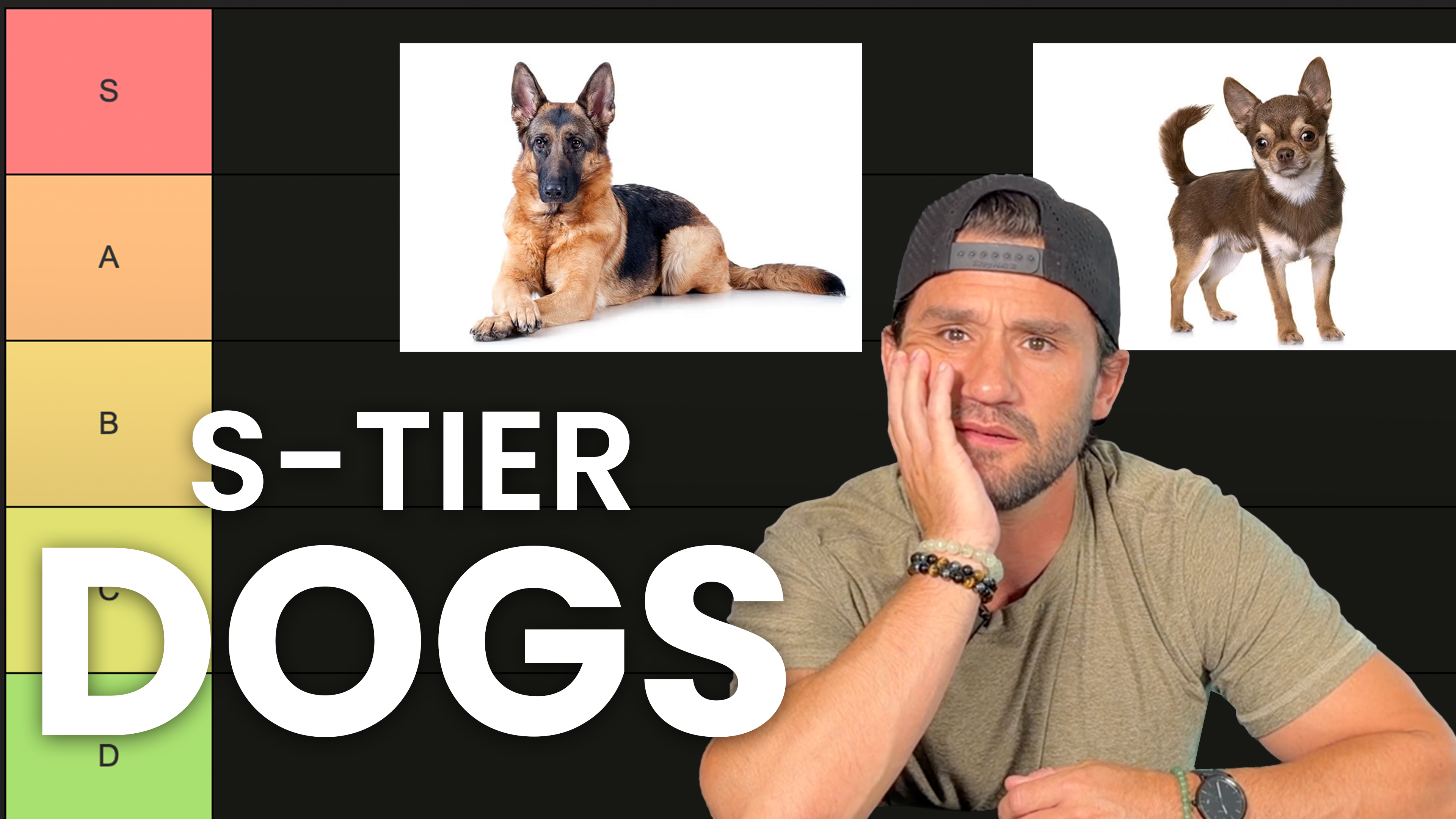  Guard Dogs Ranking (Tier List) - YouTube Video