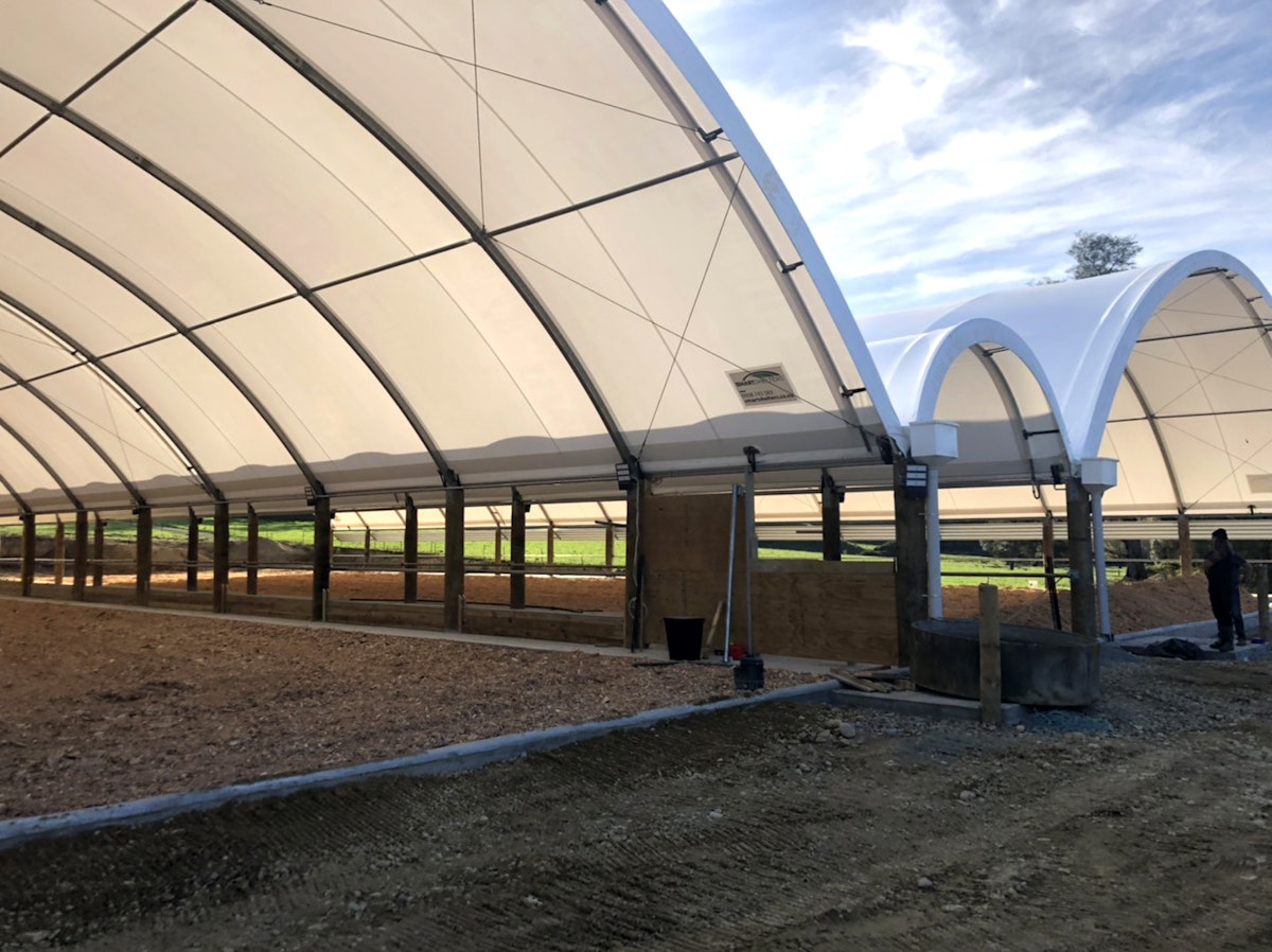 Dairy farmers animal bedding for their composting barn