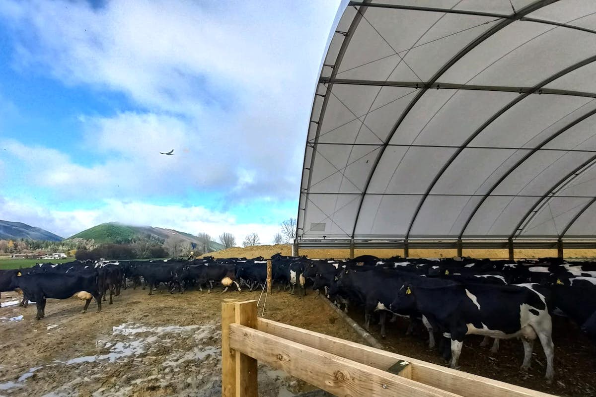Rain Farms composting barn