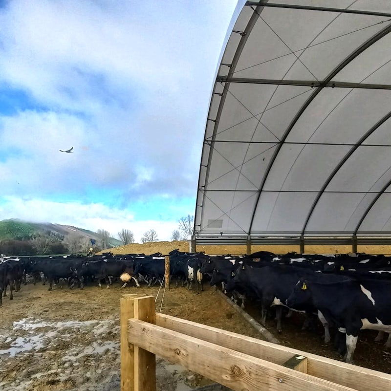 Rain Farms composting barn