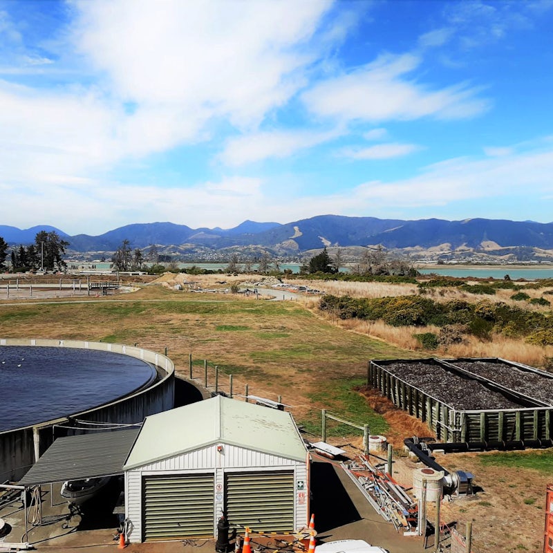 How to maintain biofilter media for continuous odour control