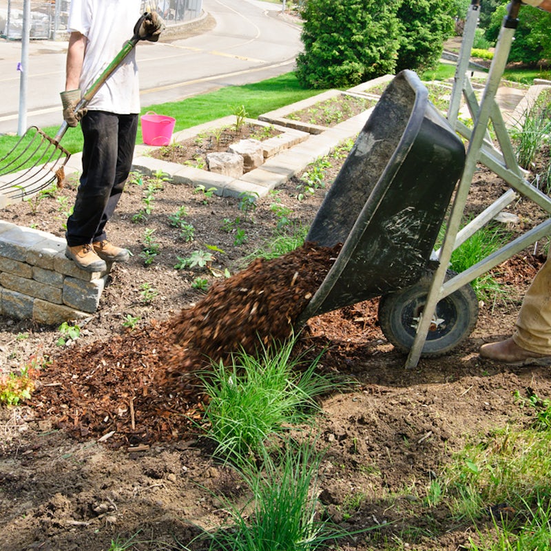 Using mulch for landscaping