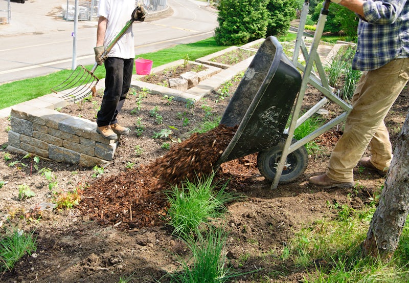 Using mulch for landscaping