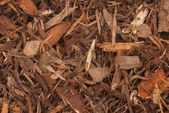 Your Complete Guide To Mulch