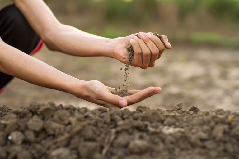 Should there be stones in my compost