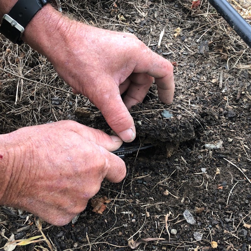 Improve vineyard soil with Azwood compost