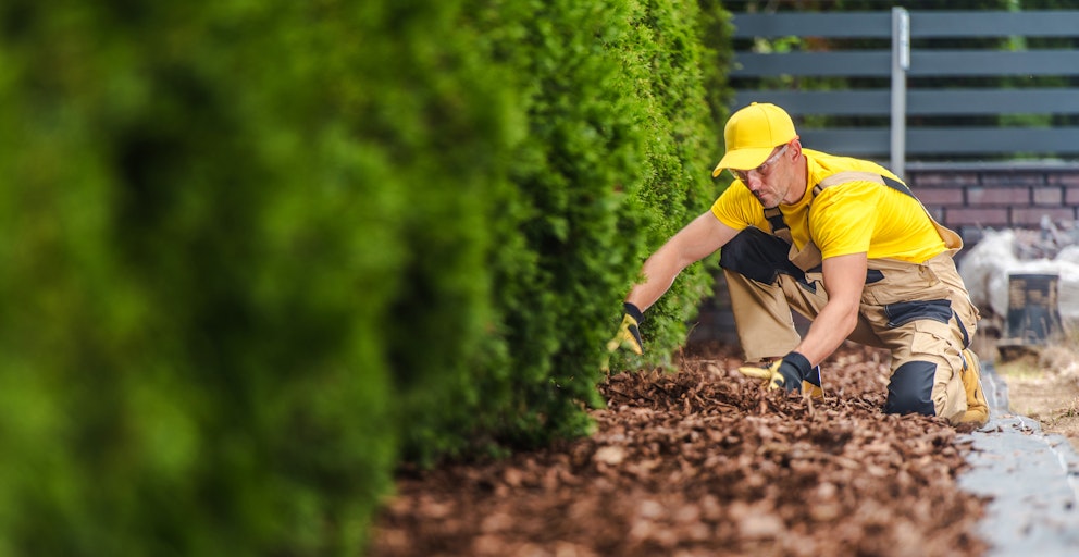 Safe Landscaping