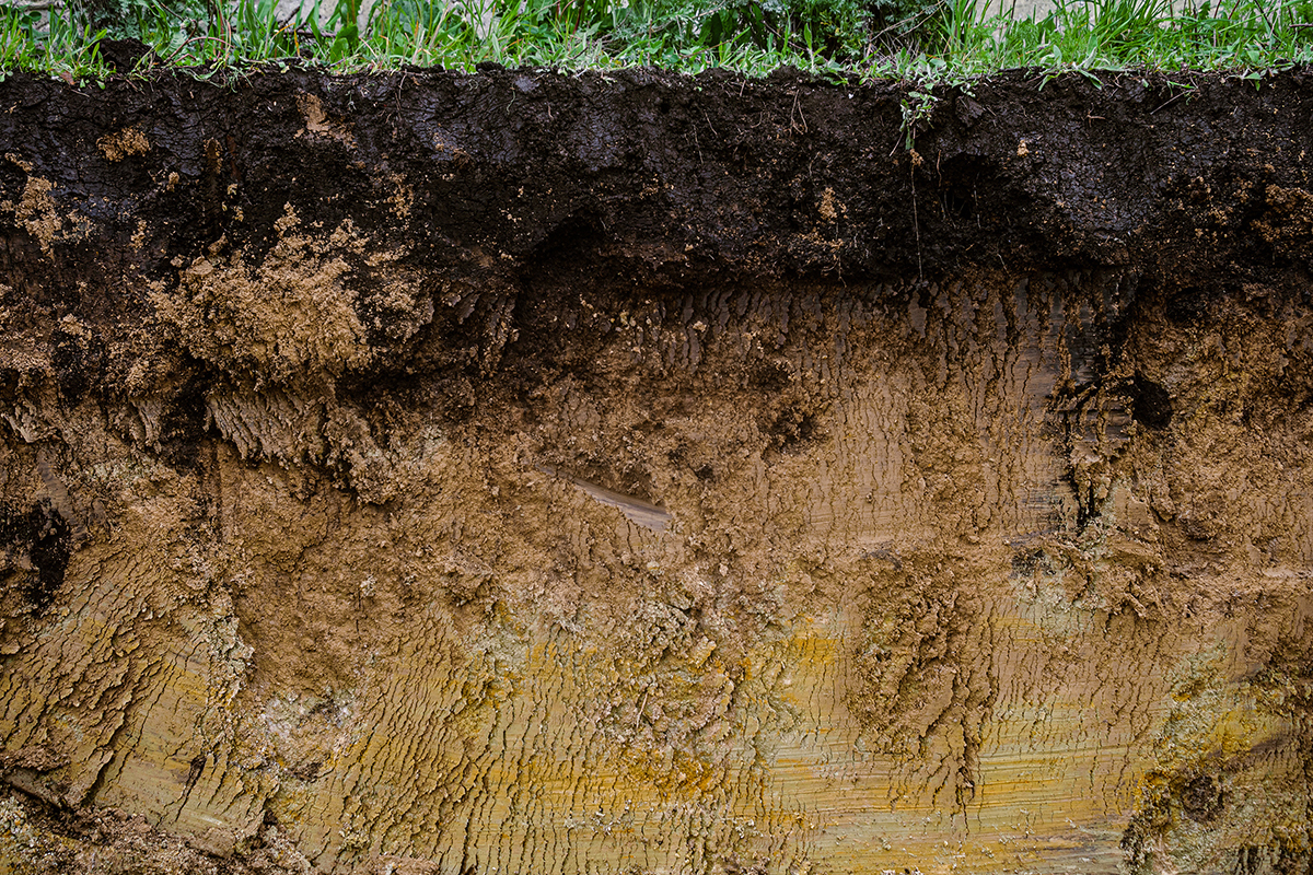 Is compost included in your fertiliser budget? - Azwood