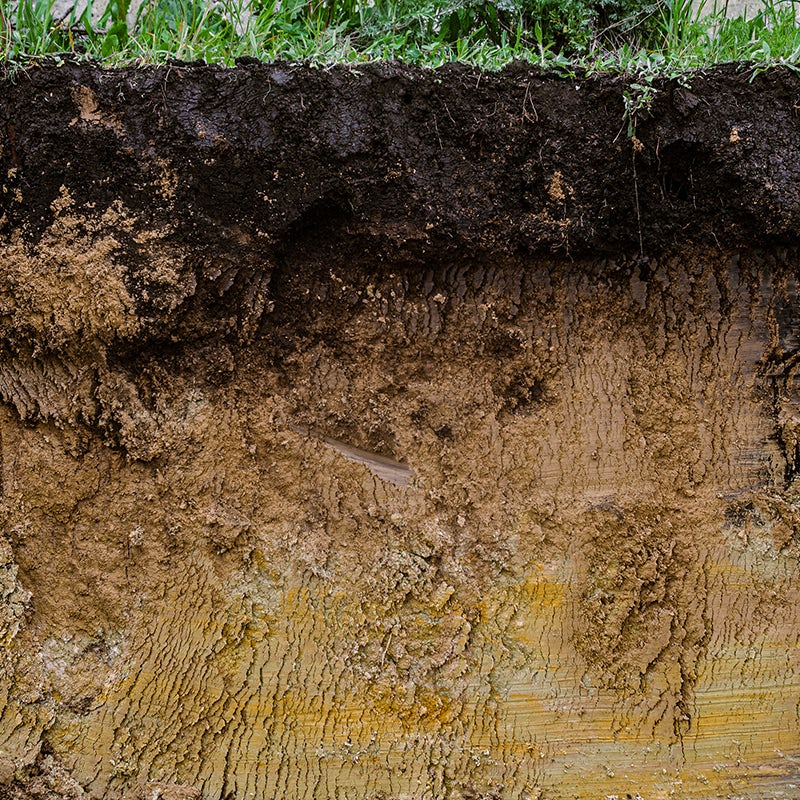 Soil profile with compost