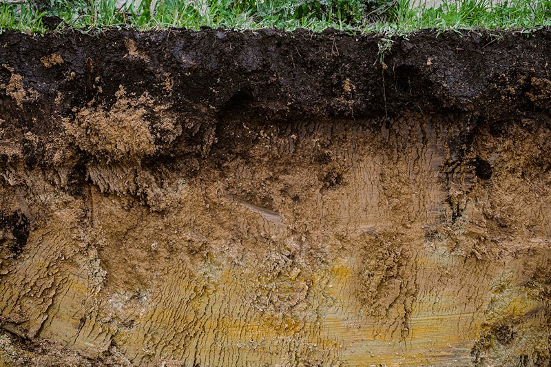 Soil profile with compost