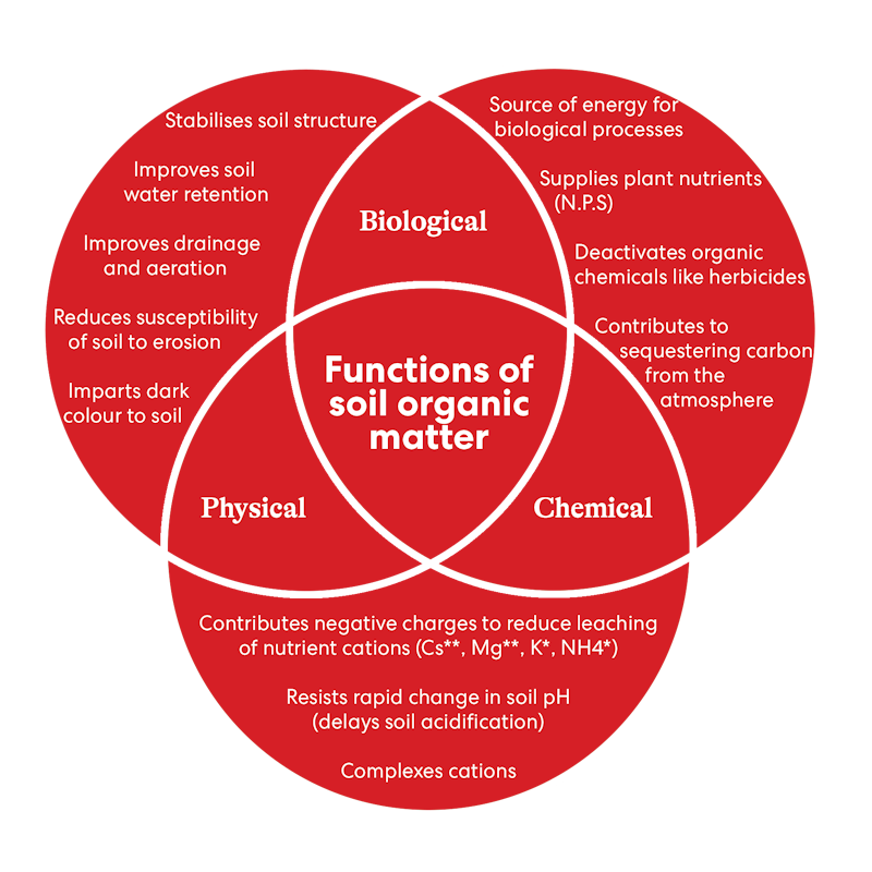Functions of soil organic matter