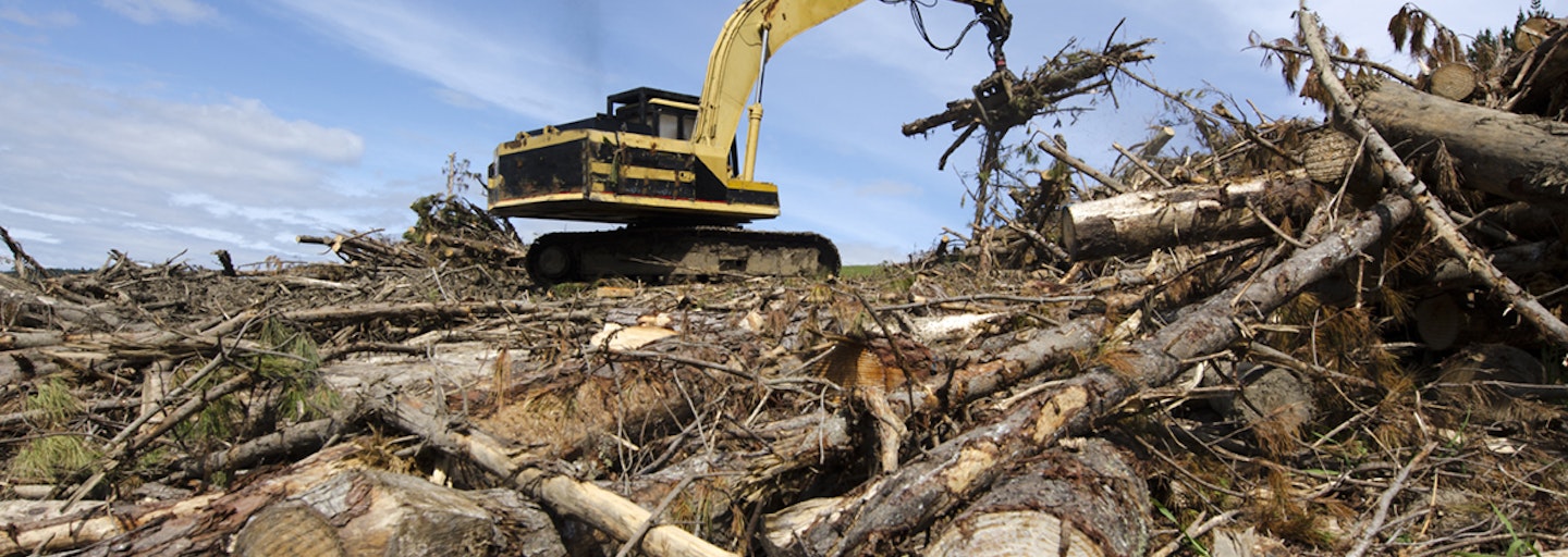forestry residue recovery