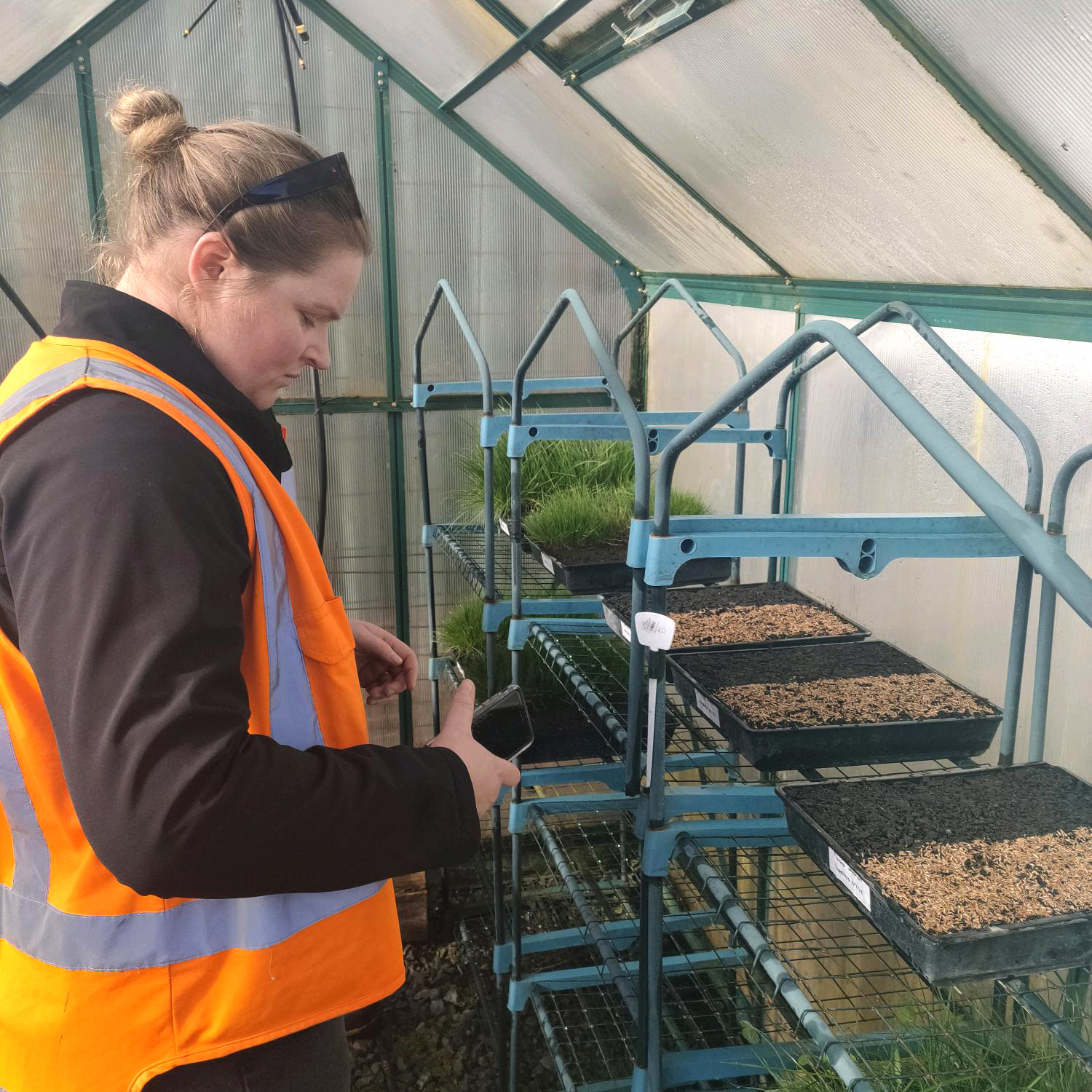 What makes a good commercial potting mix? Azwood