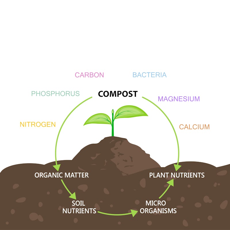 the benefits of compost