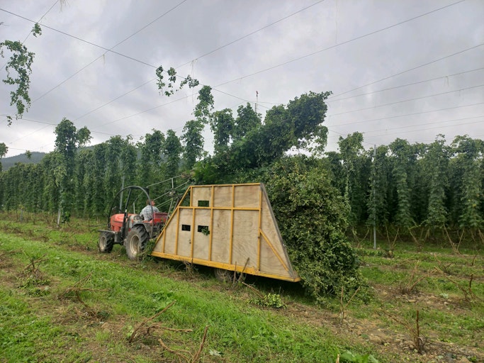 Repurpose hop waste into compost