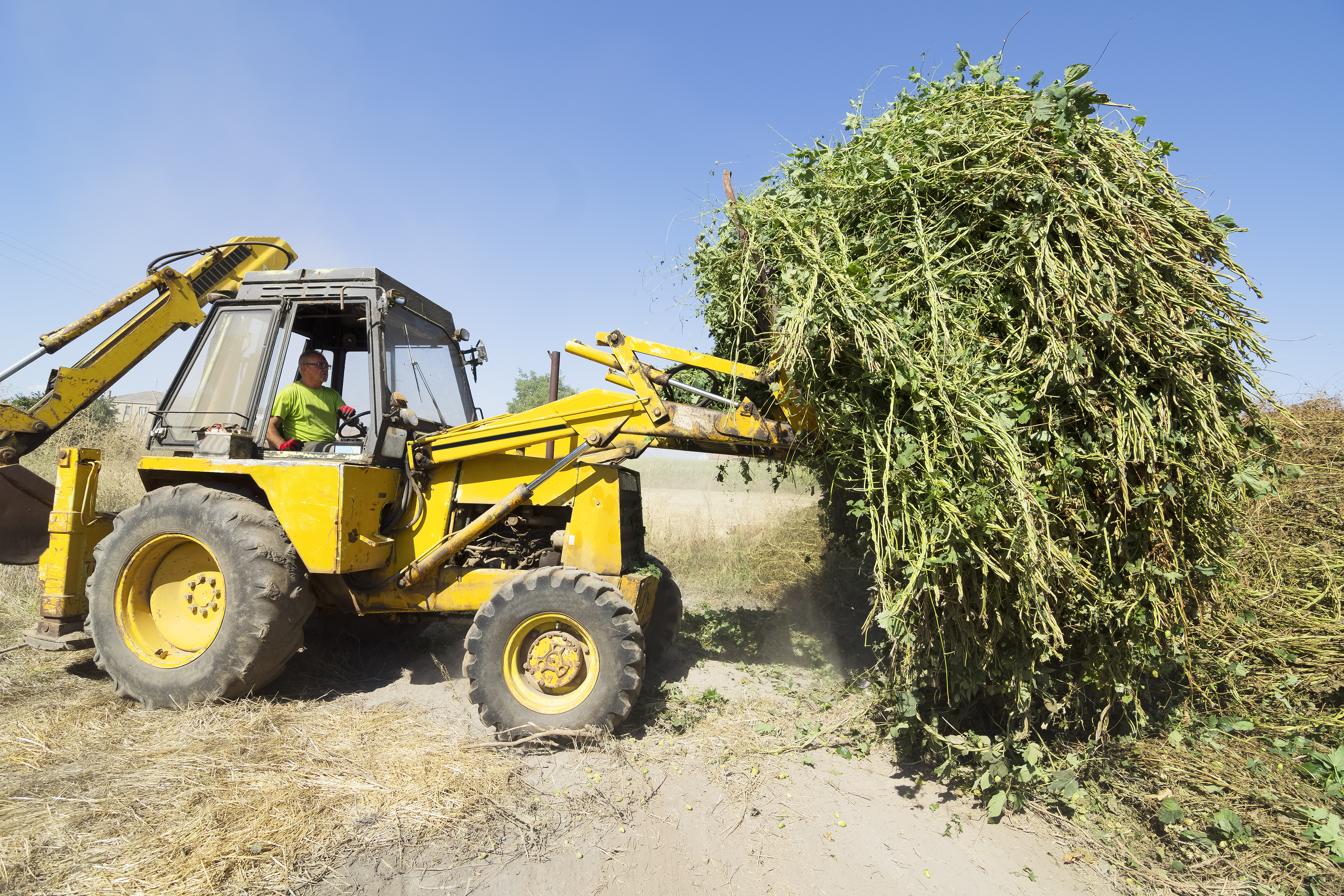 Repurpose hop waste into compost Azwood
