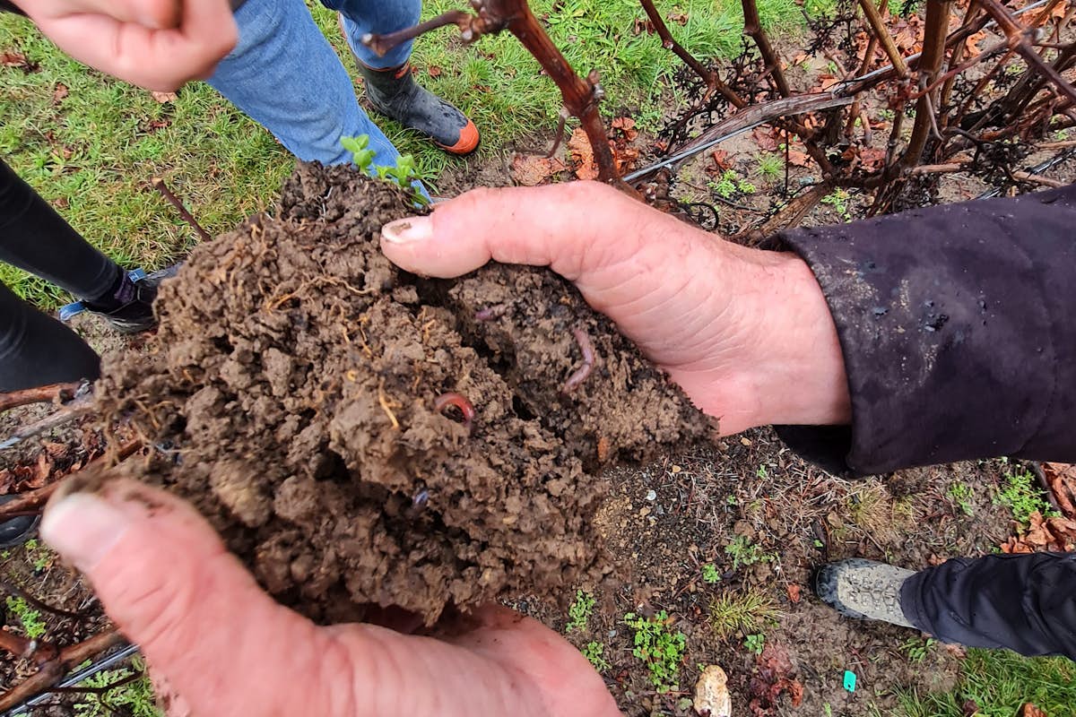 Soil with compost