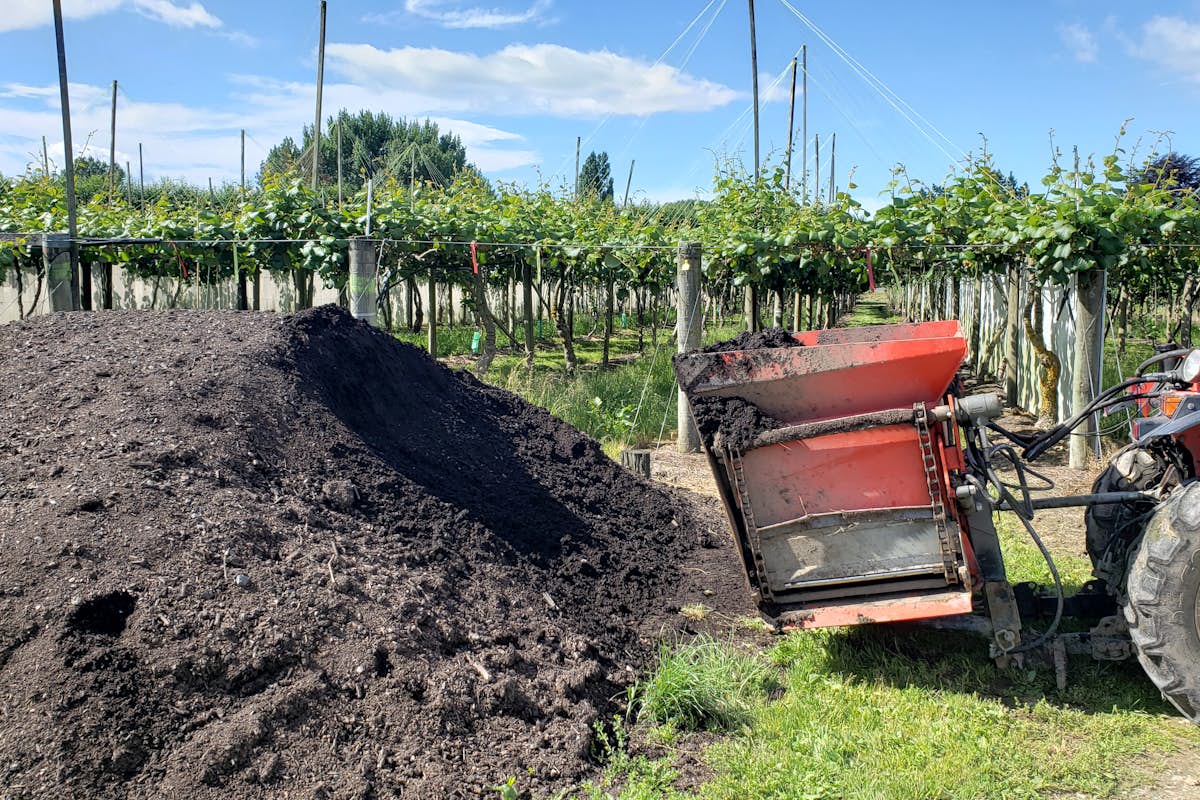 Compost for kiwifruit orchard