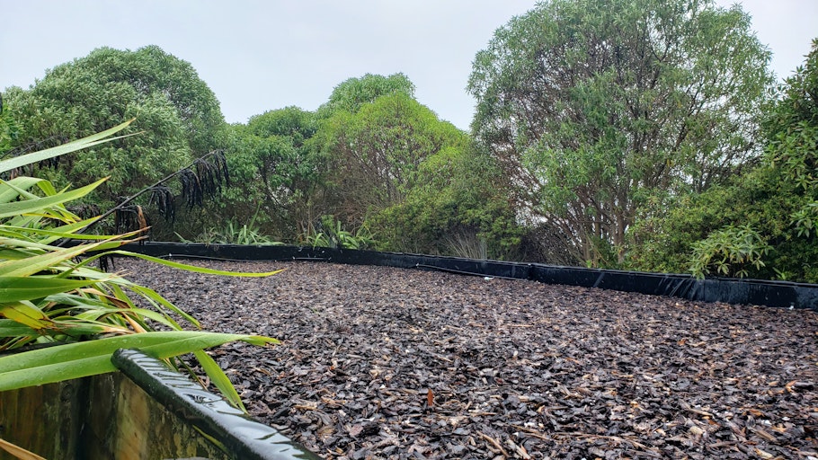 生物过滤介质调味