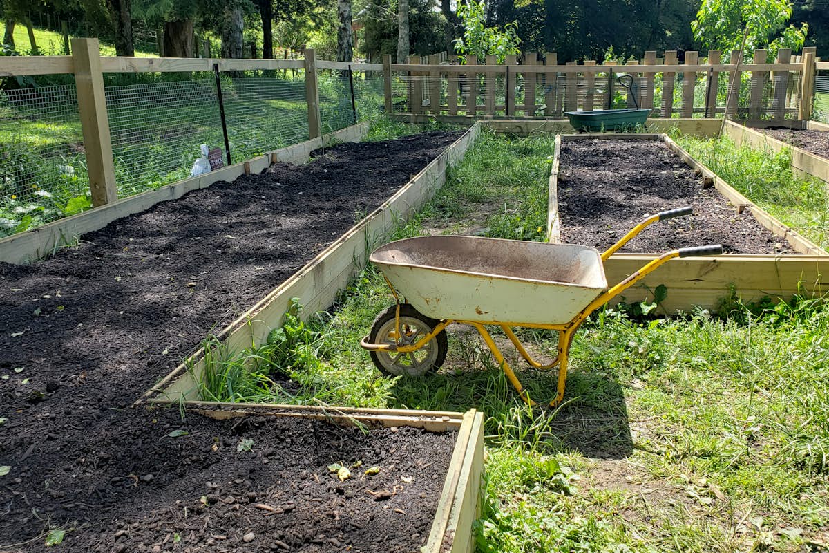 Garden with organic compost