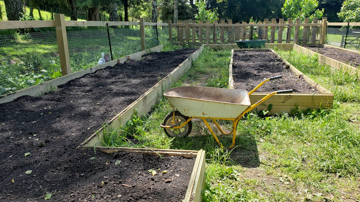 Garden with organic compost