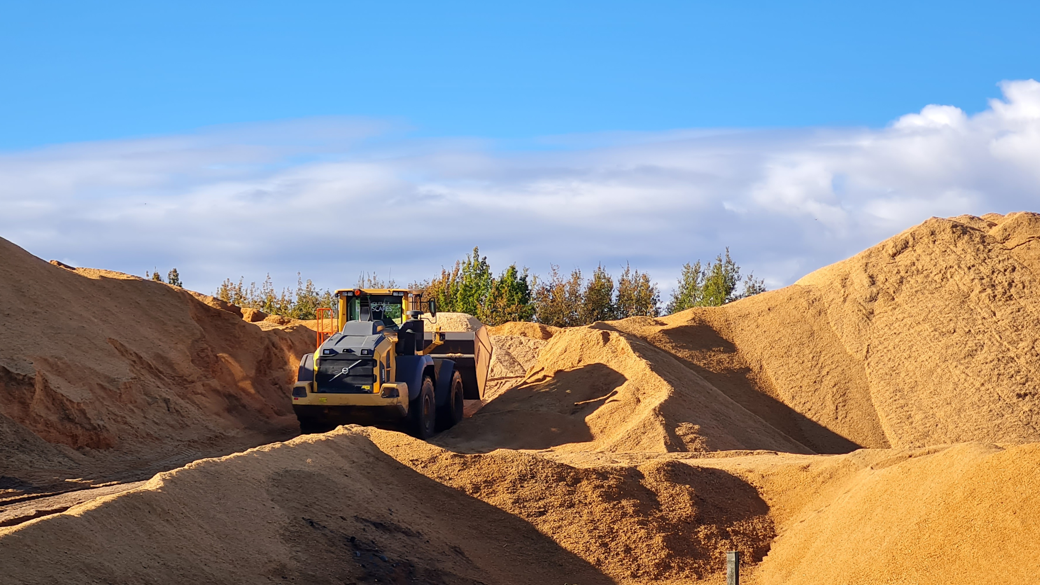 Alternative uses for sawdust, a renewable natural resource