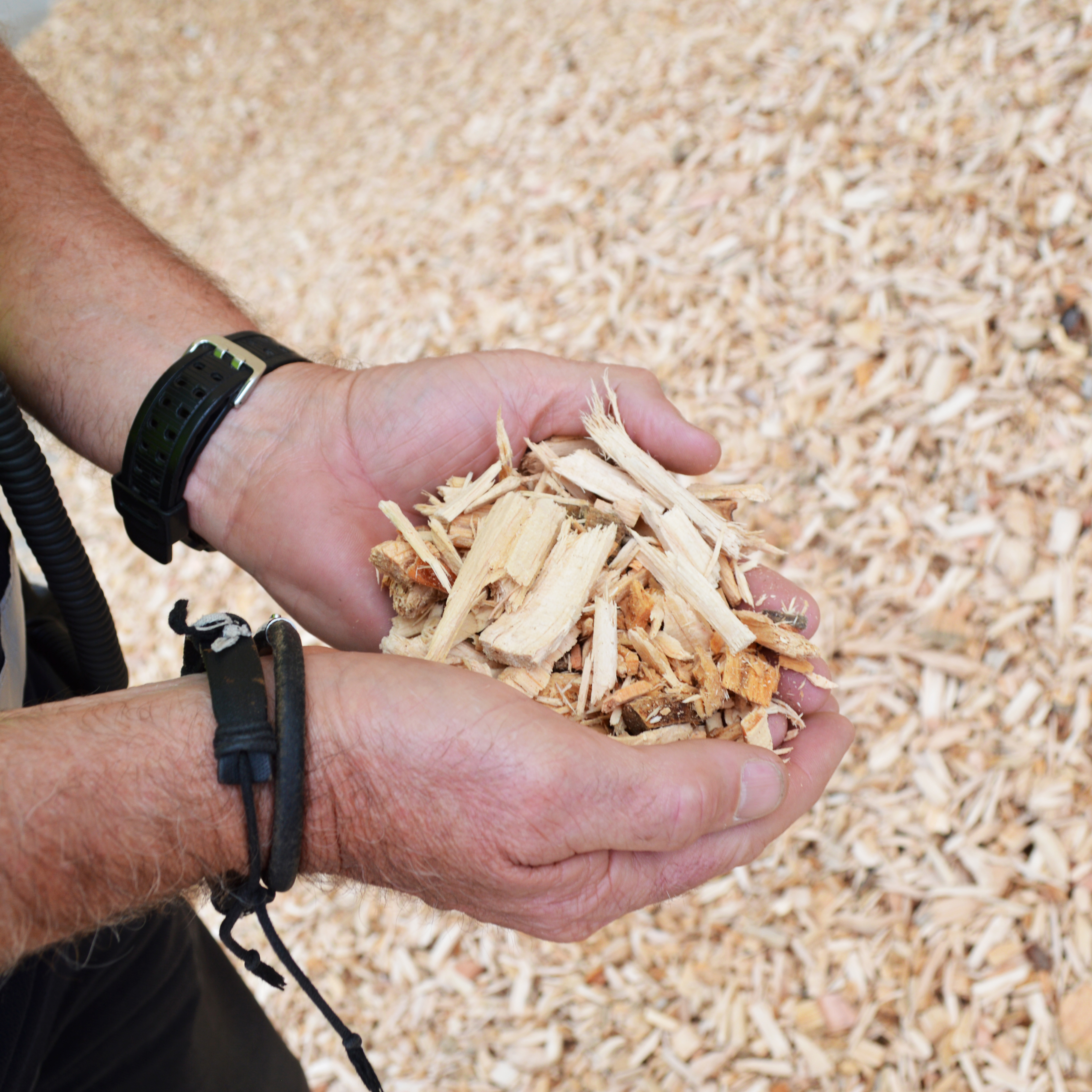 Understanding your wood fuel Azwood