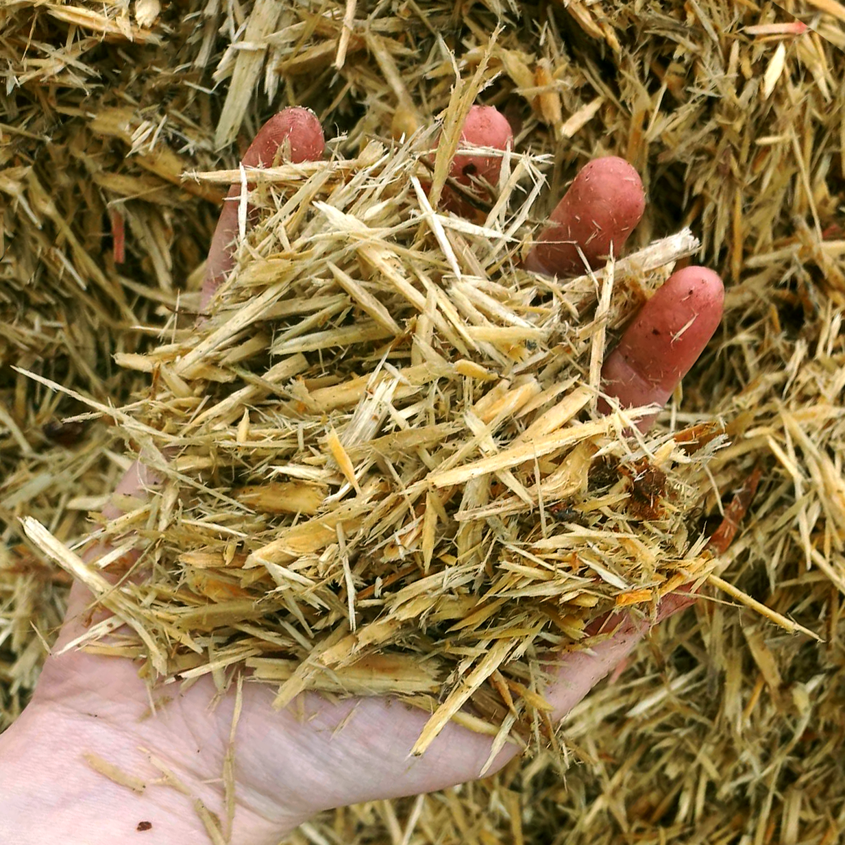 Animal Bedding Azwood