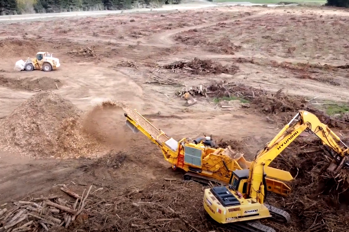 ECAN Azwood wood residues forestry collaboration project