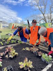Helping hands community garden project