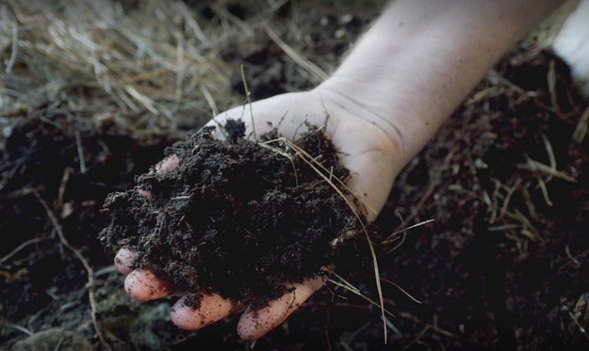 Soil regeneration for forestry