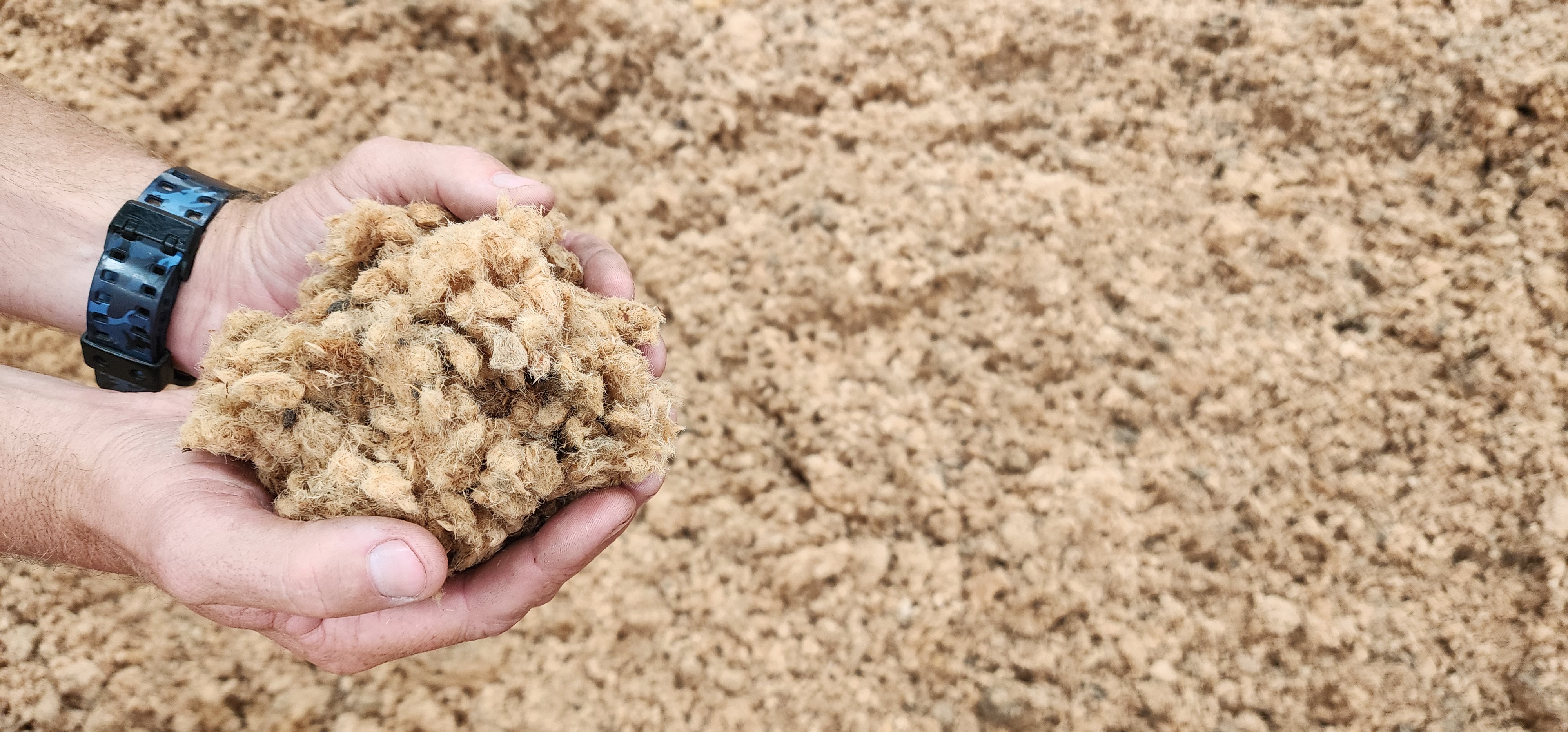 Why wood fibre is outshining coir and peat for NZ growers