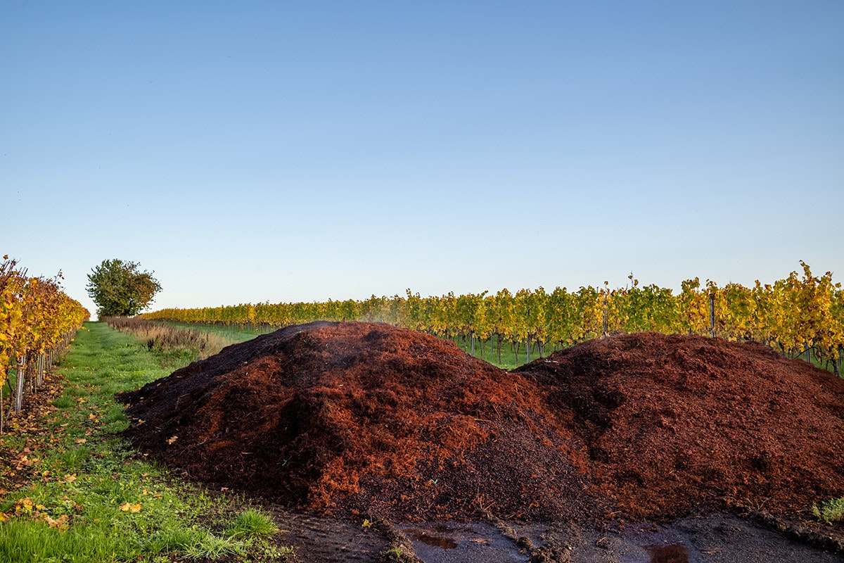The sustainability benefits of using grape marc as compost