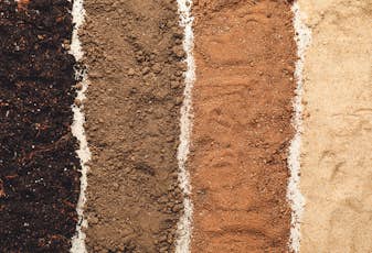 Different types of soil