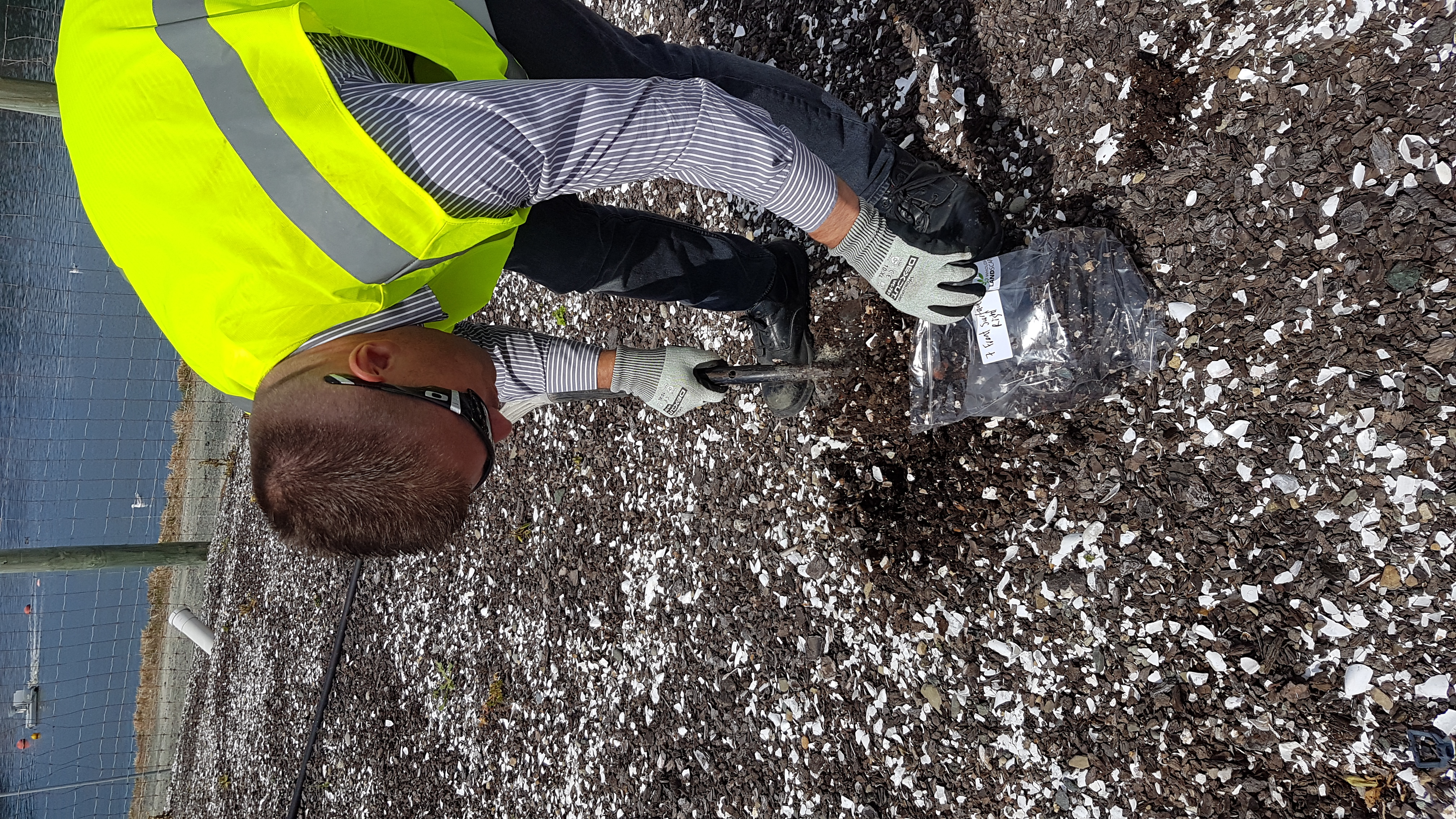 How to maintain biofilter media for continuous odour control