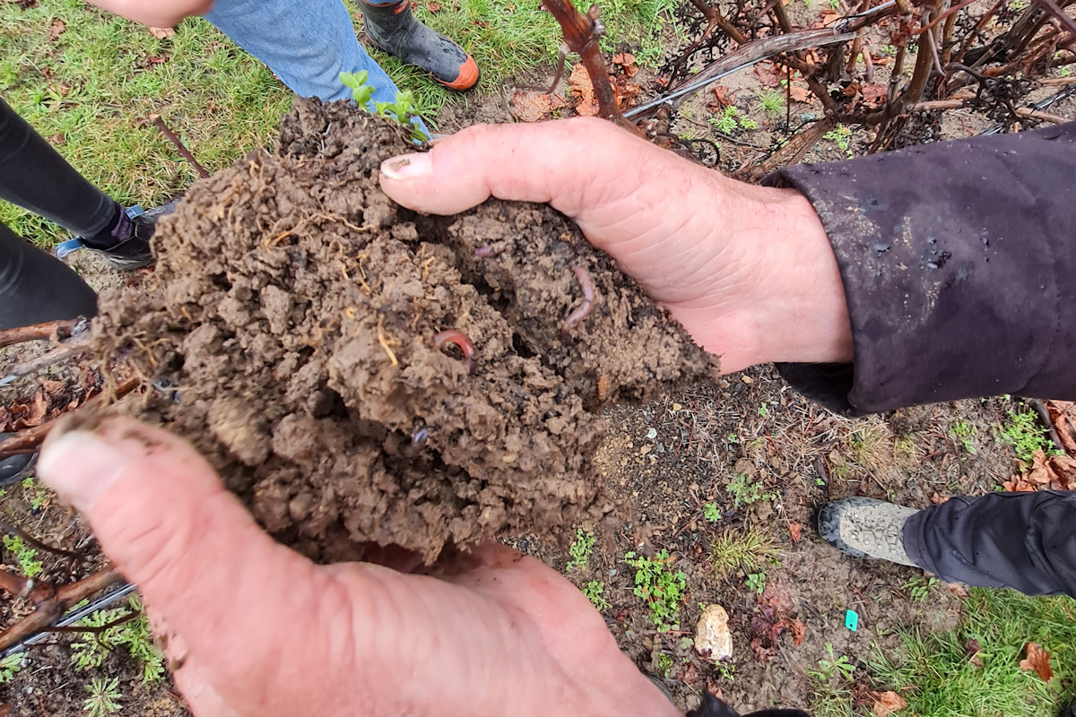 Soil with compost