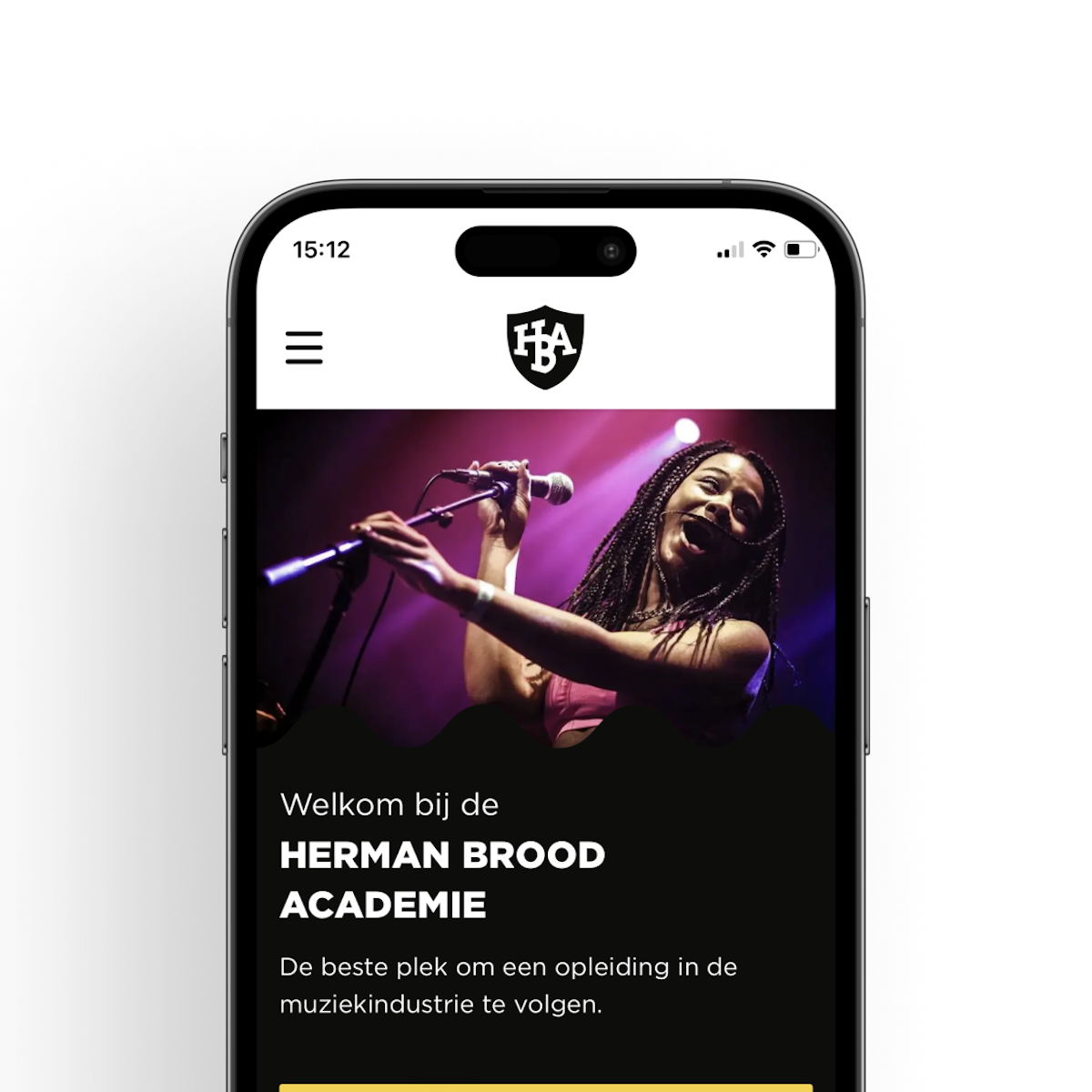 Herman Brood Academie website