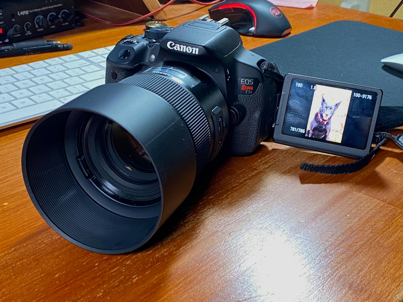 Tamron 85mm lens on old canon body
