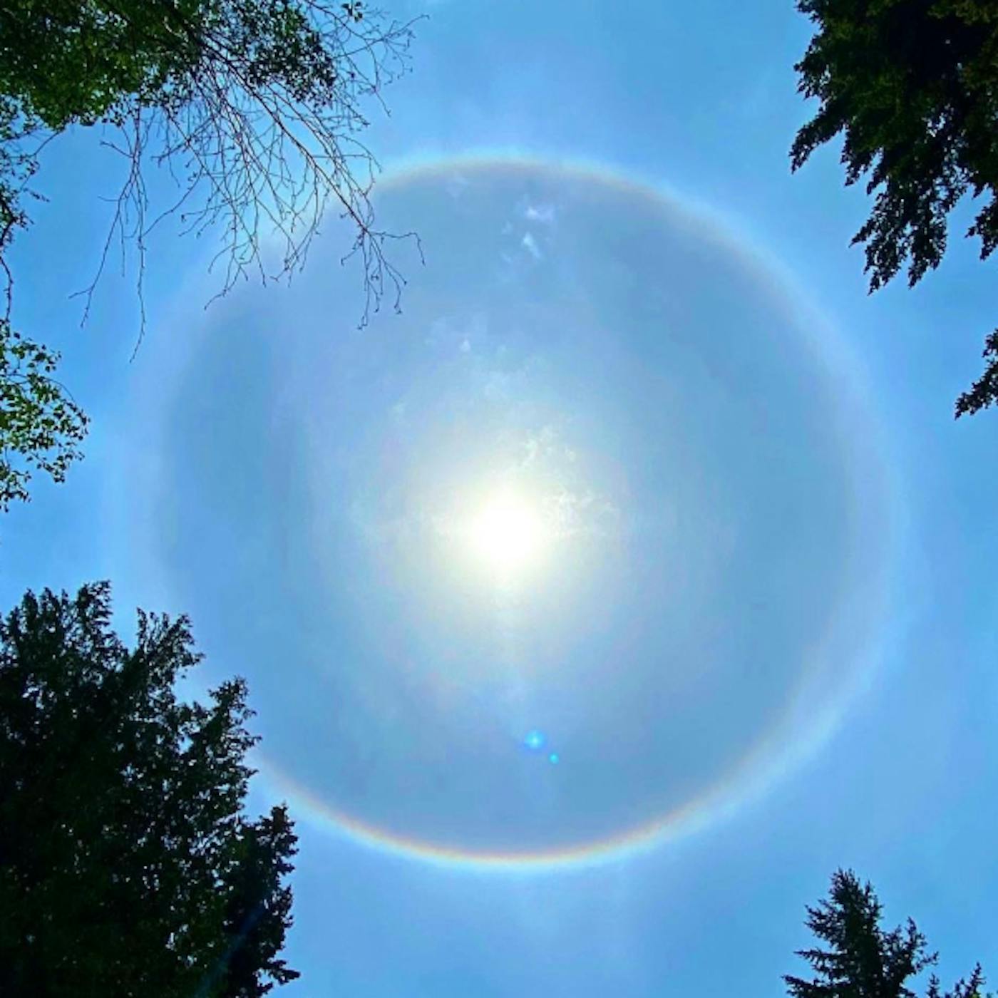 Solar Halo, backyard, 14 May 2020