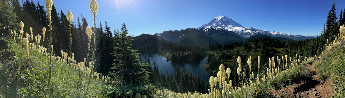 Mt. Rainier from Tolmie Peak Trail, WA