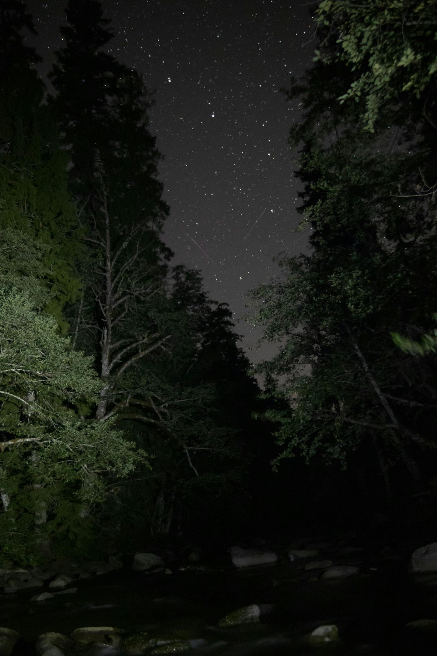 Trout Creek at night, with some light-painting experiments.