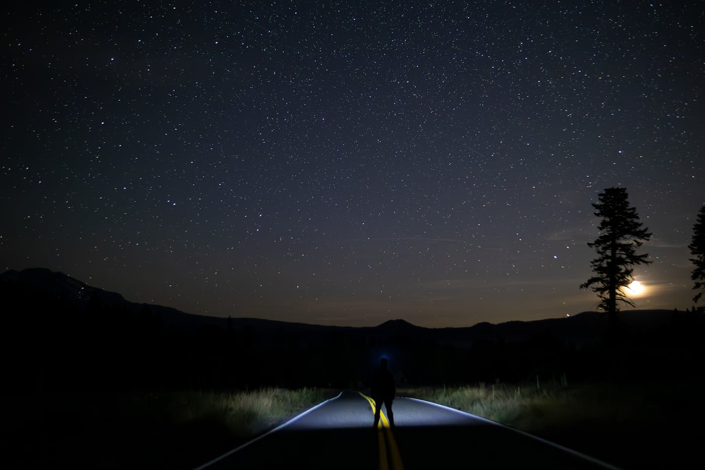 The moon rose towards the end of the night, a tiny sliver between two pines.