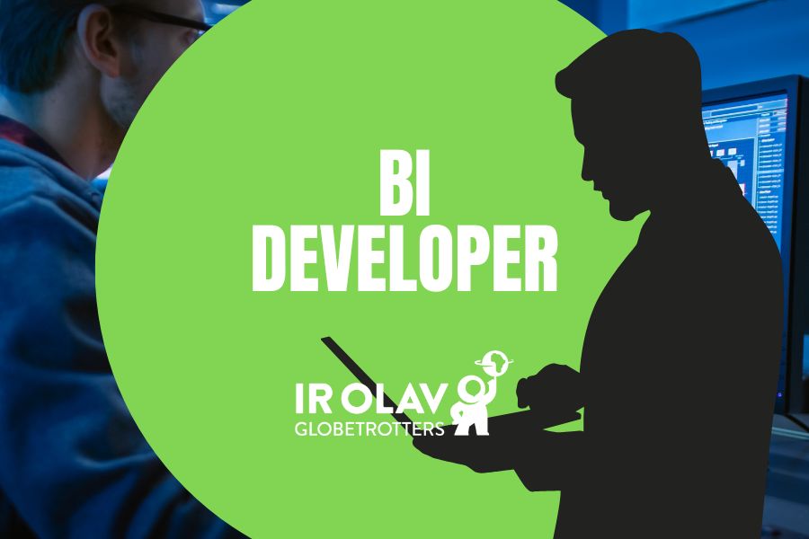 BI Developer