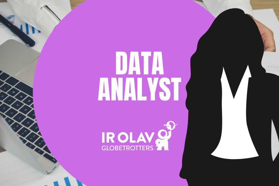 Data Analyst
