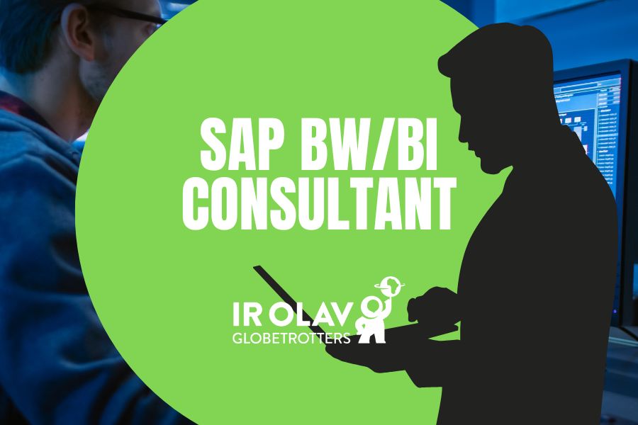 SAP BW/BI Consultant