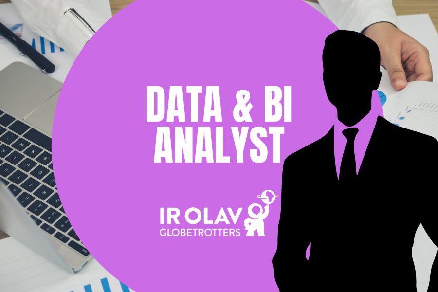 Data & Business Intelligence Analyst