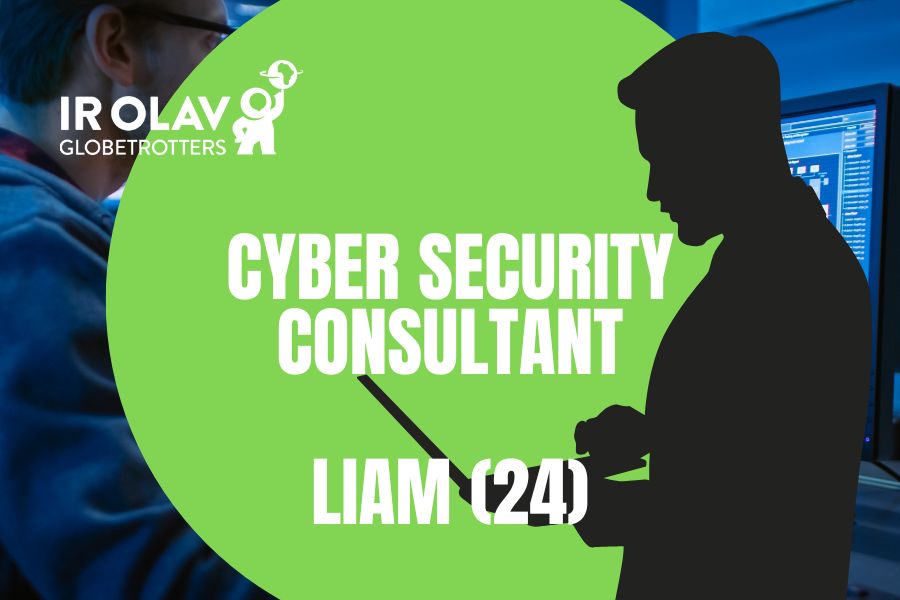 Cyber Security Consultant