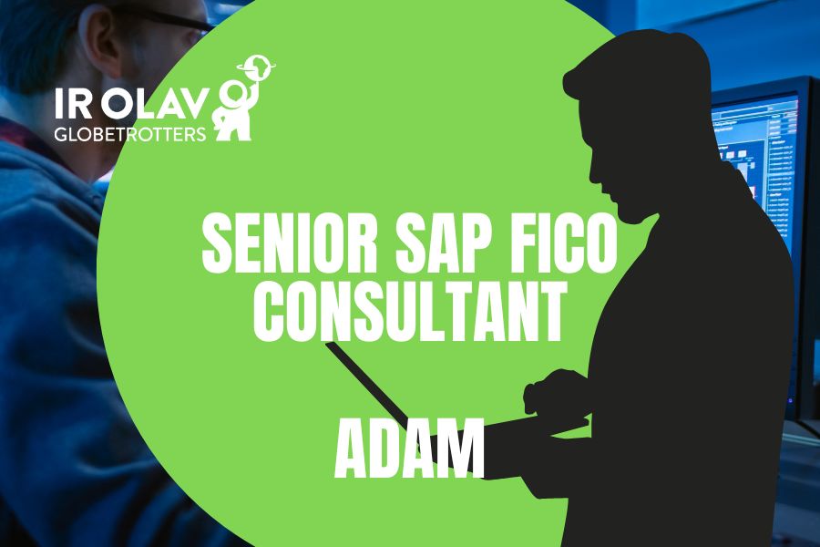 Senior SAP FICO Consultant