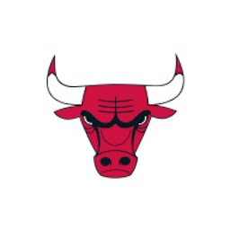 Chicago Bulls NBA logo