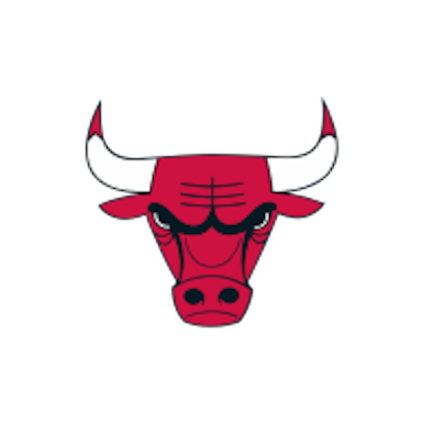 Chicago Bulls NBA logo